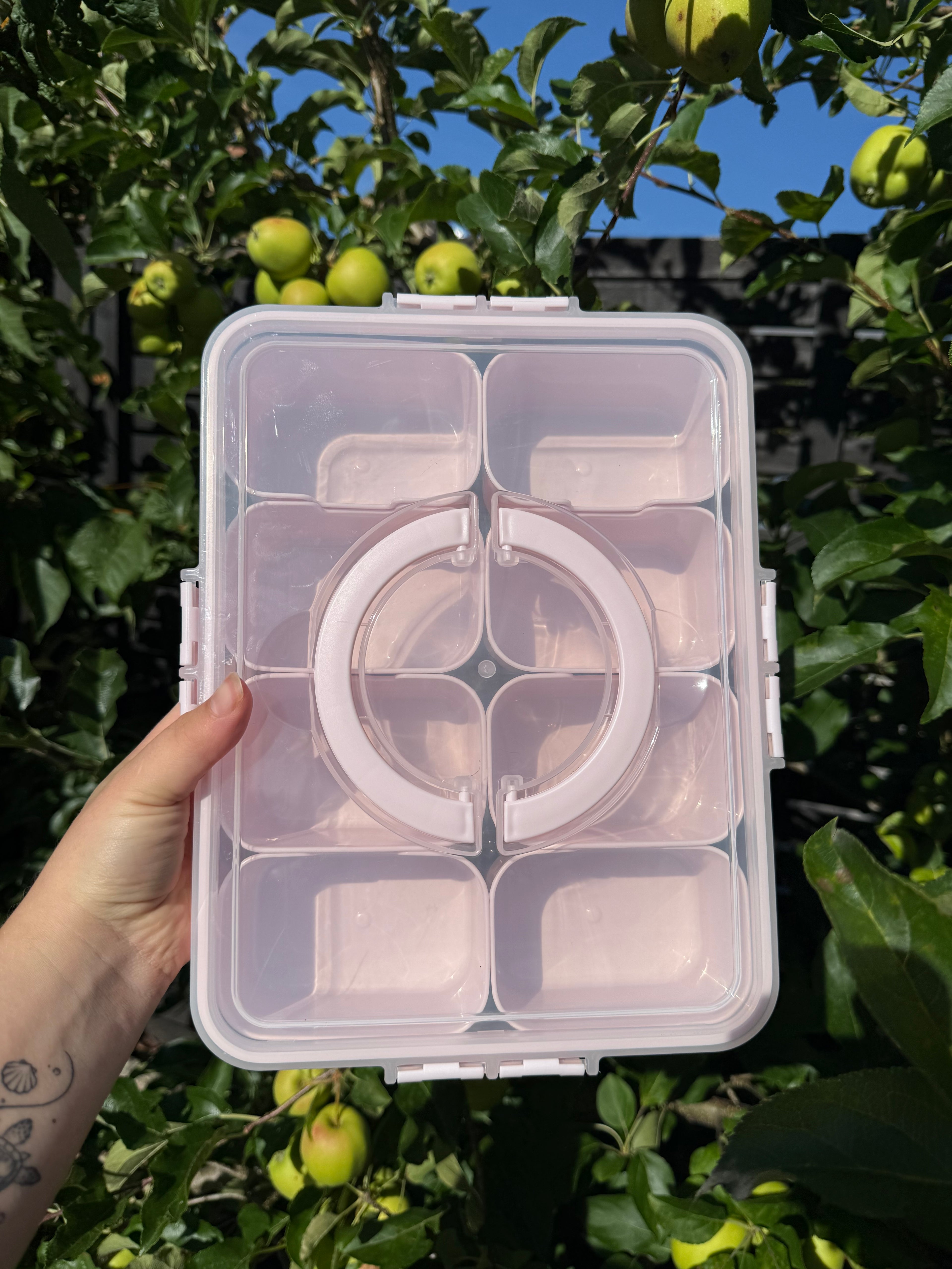 Snackbox Rosa