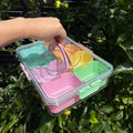 Snackbox farbig