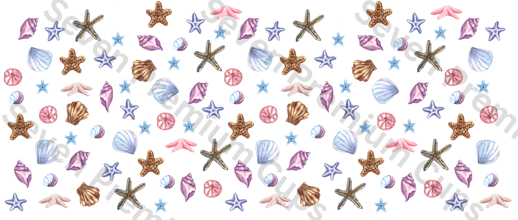 Muschelsternchen