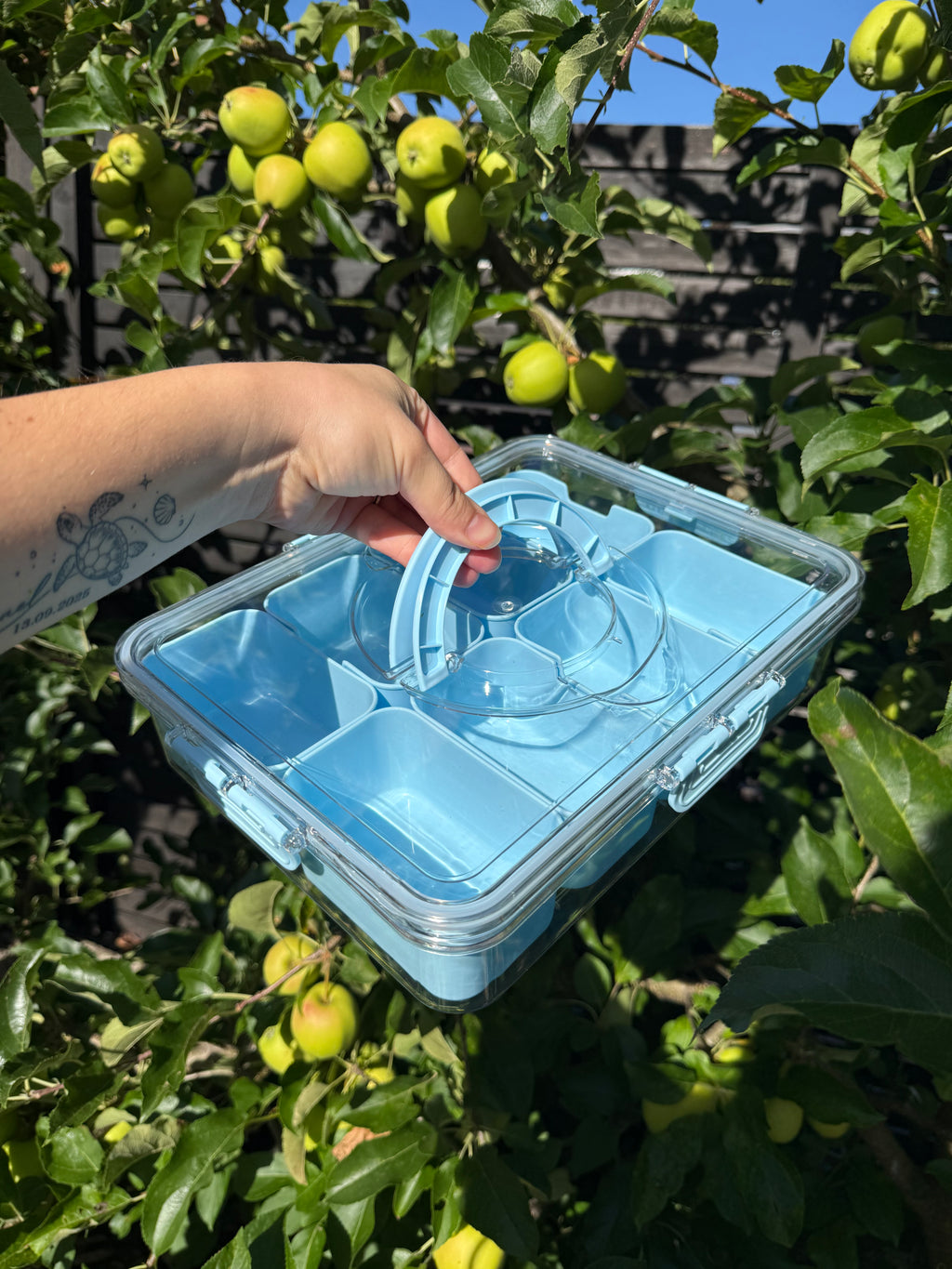 Snackbox Blau