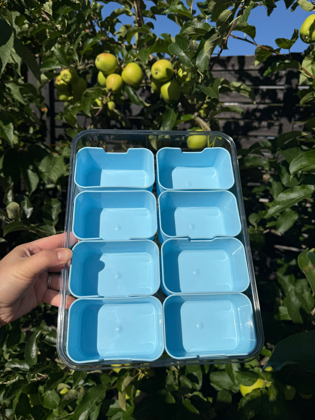 Snackbox Blau