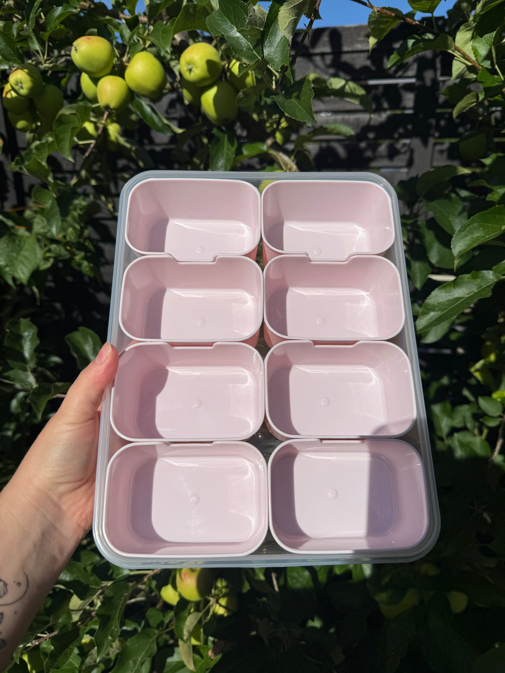 Snackbox Rosa