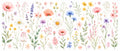 Wildblumen