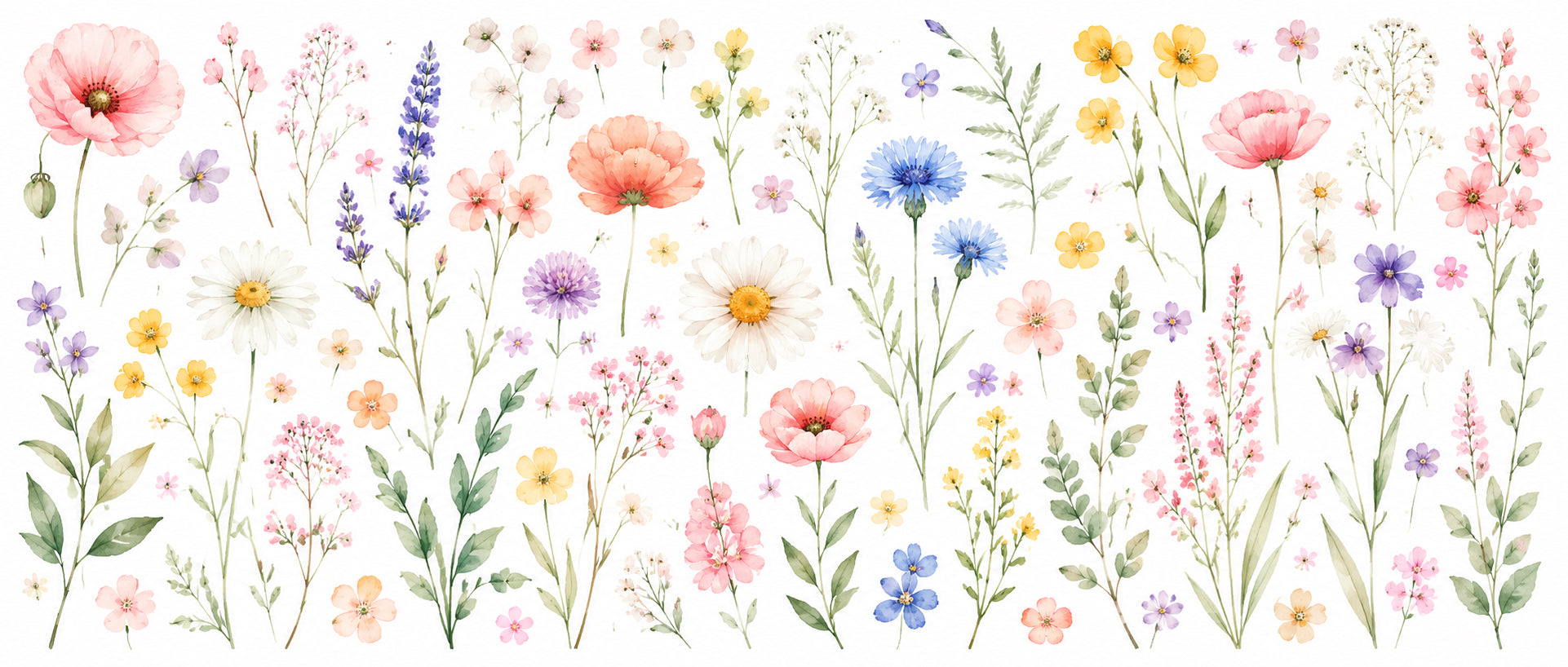 Wildblumen
