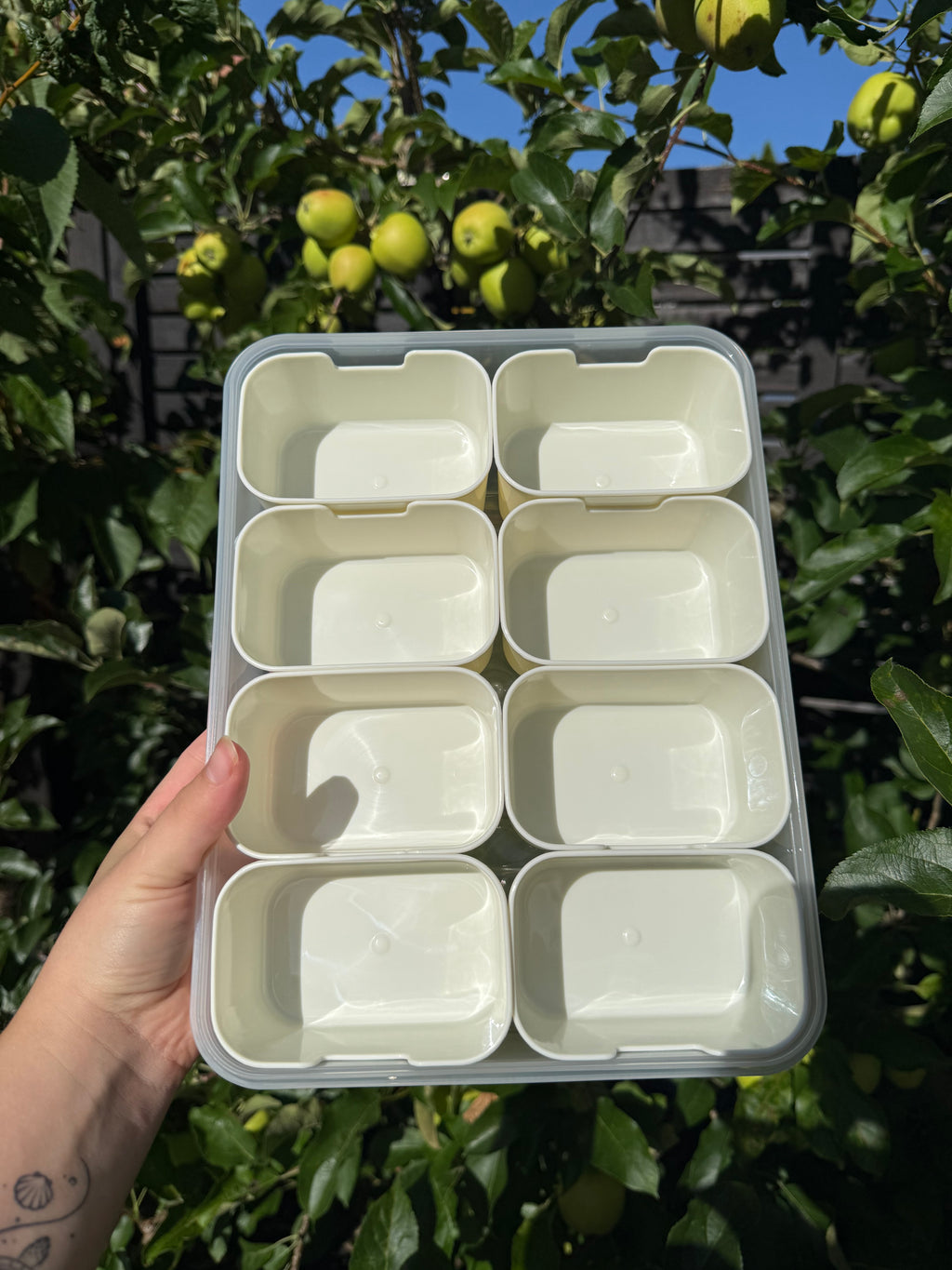 Snackbox weiss