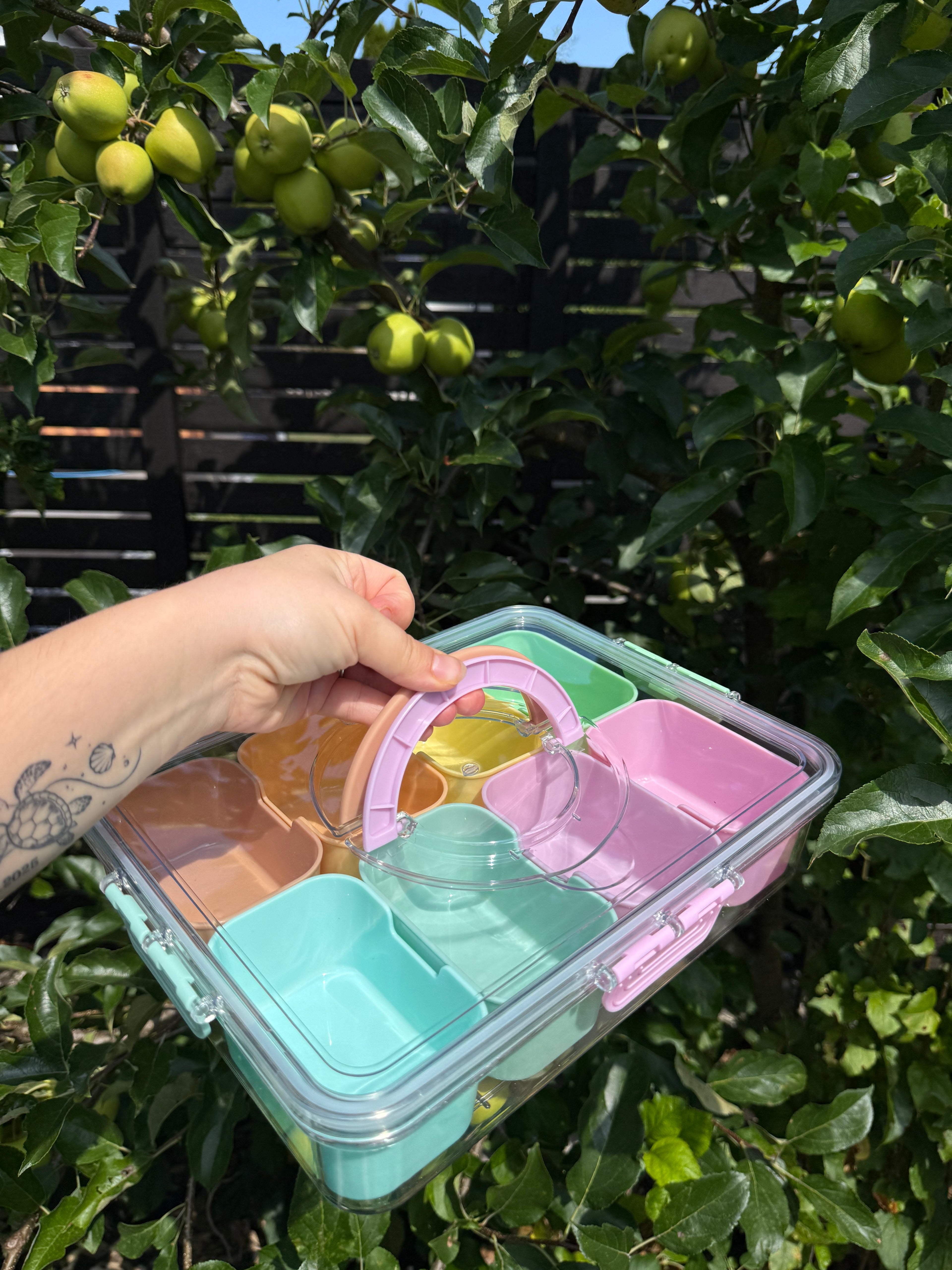 Snackbox farbig