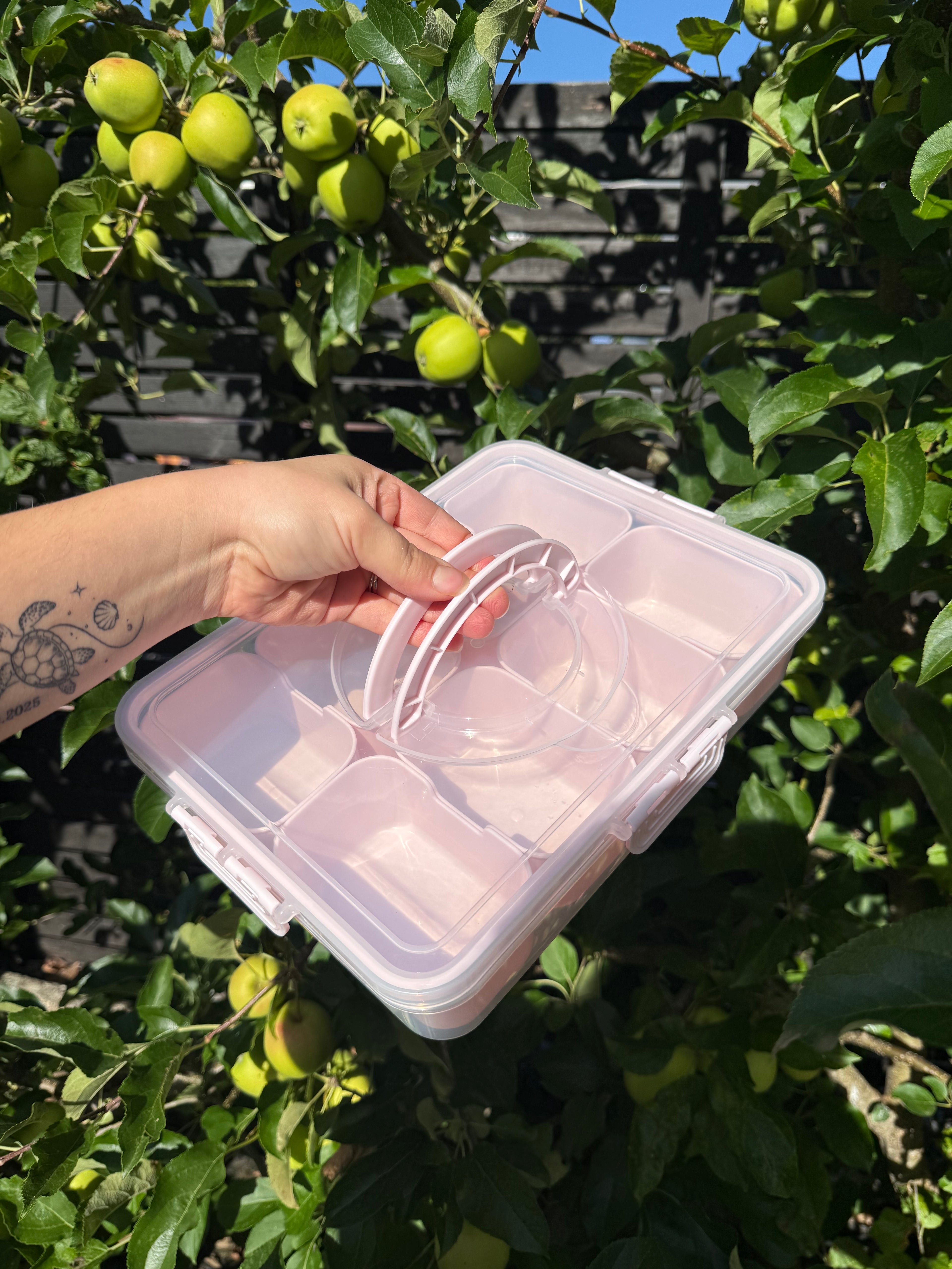 Snackbox Rosa