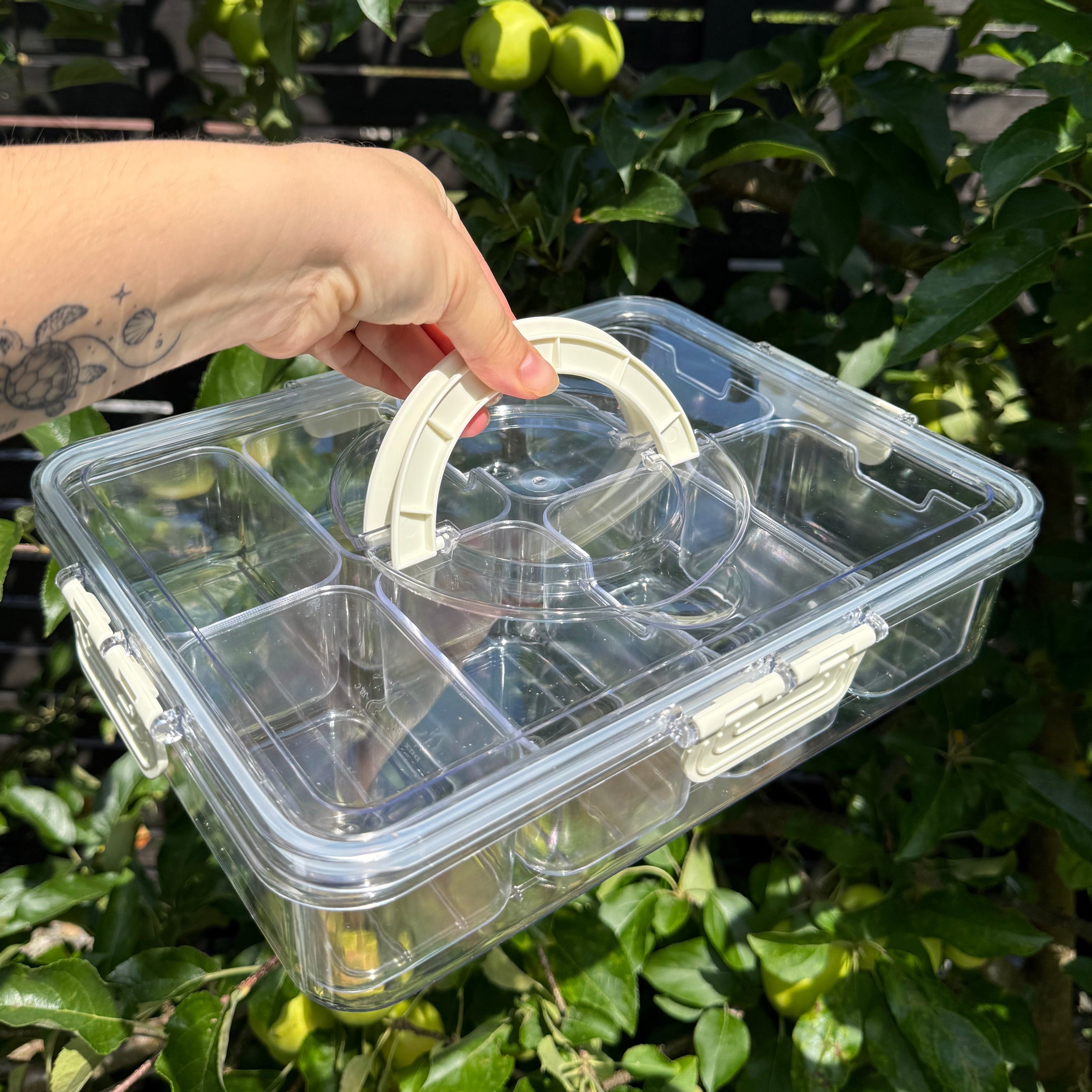 Snackbox Transparent